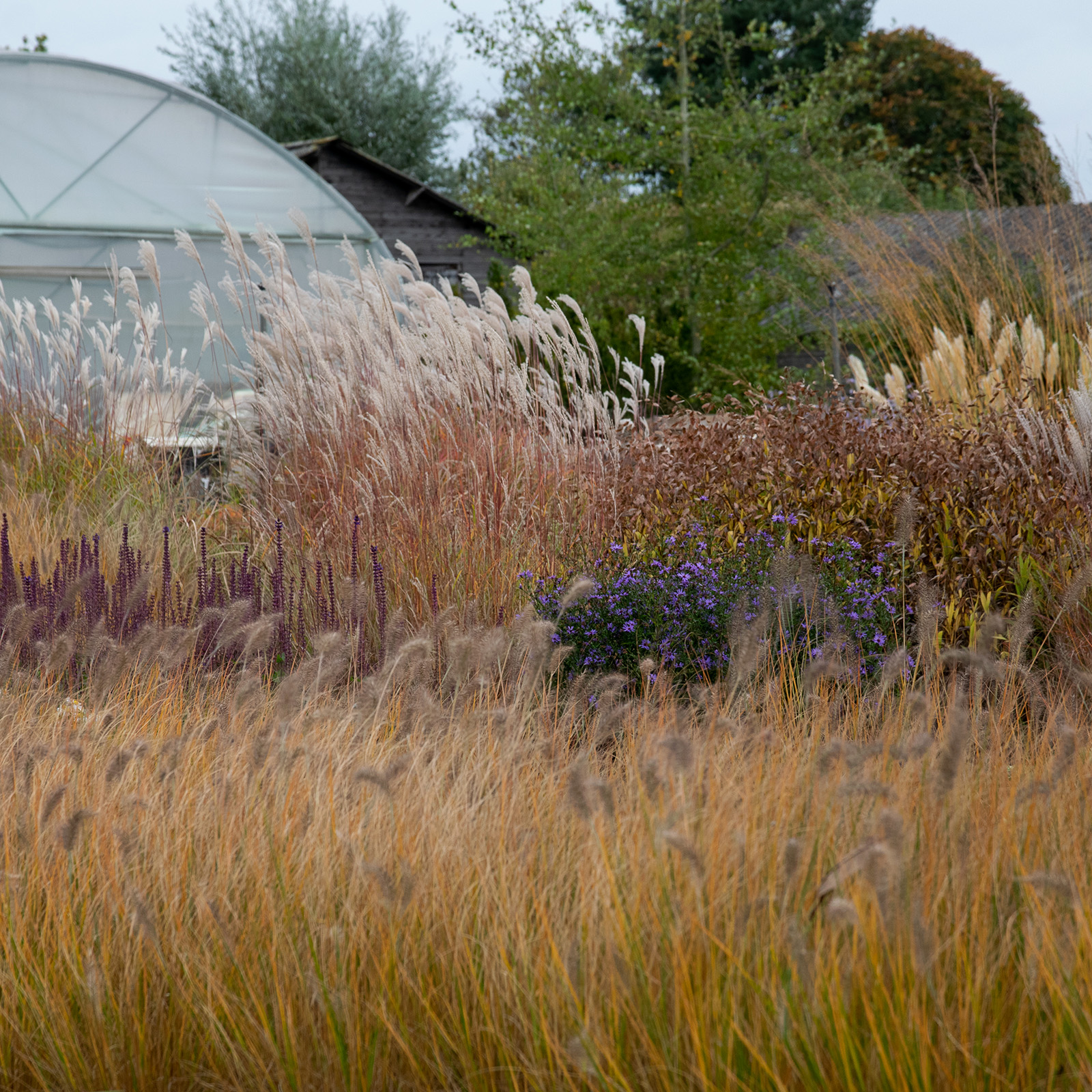 De herfst: het vergeten plantseizoen